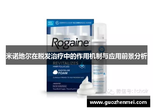 米诺地尔在脱发治疗中的作用机制与应用前景分析