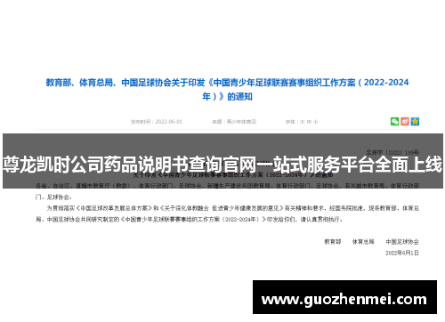 尊龙凯时公司药品说明书查询官网一站式服务平台全面上线